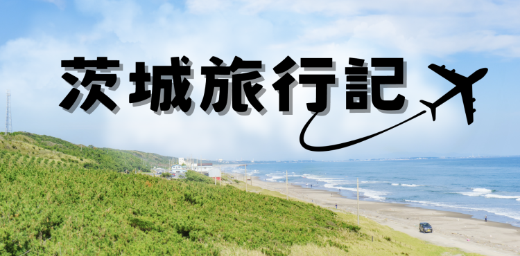 cook 今日なに作ろ？